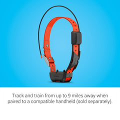 Garmin Alpha TT 25 bande remplaçable facilitant entretien et ajustement