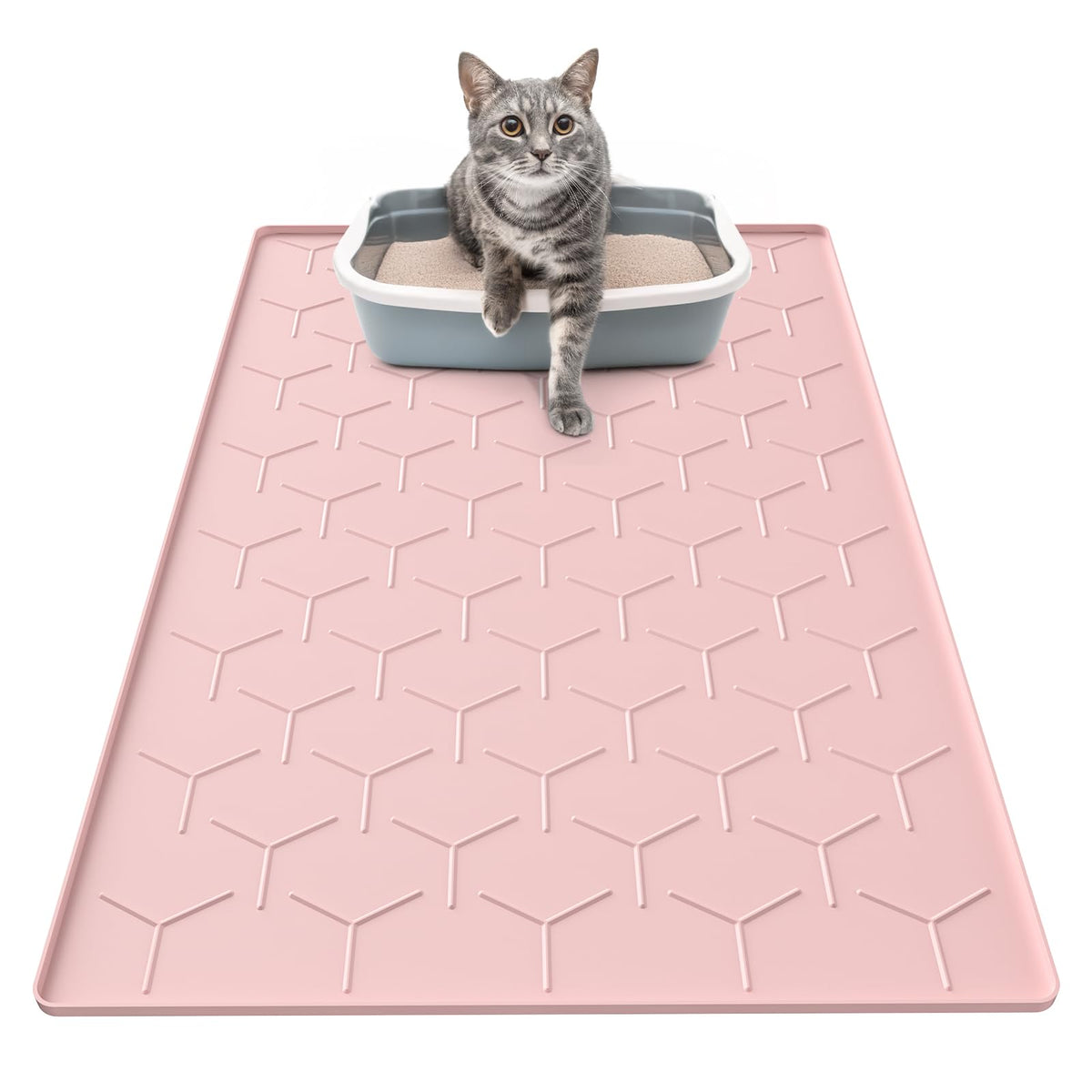 Garoopion tapis devant bac rose montrant capture de litière