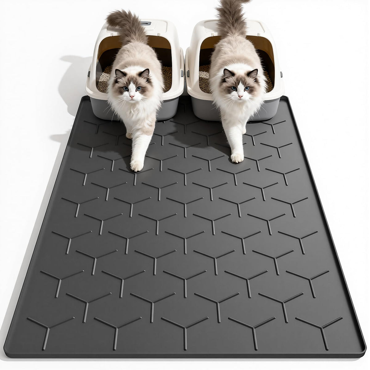 Garoopion tapis face avant montrant la grande surface et protection du sol