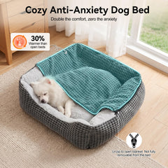 GASUR chien endormi dans le lit illustrant apaisement et sécurité