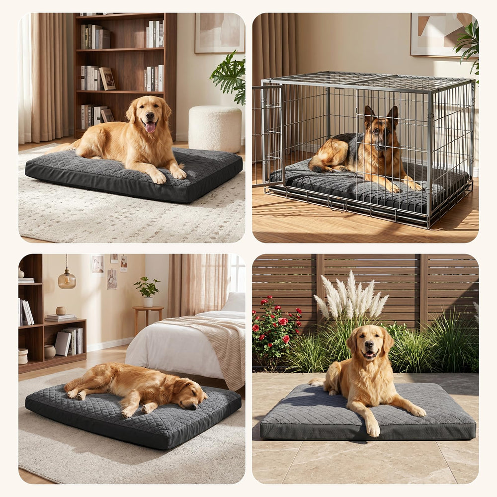 GASUR comparaison taille chien, montre échelle et ajustement recommandé