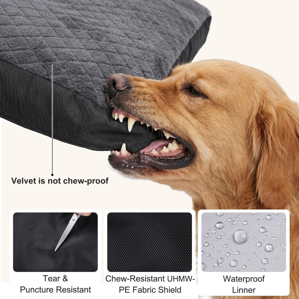 GASUR gros plan velours doux, surface accueillante pour apaiser le chien