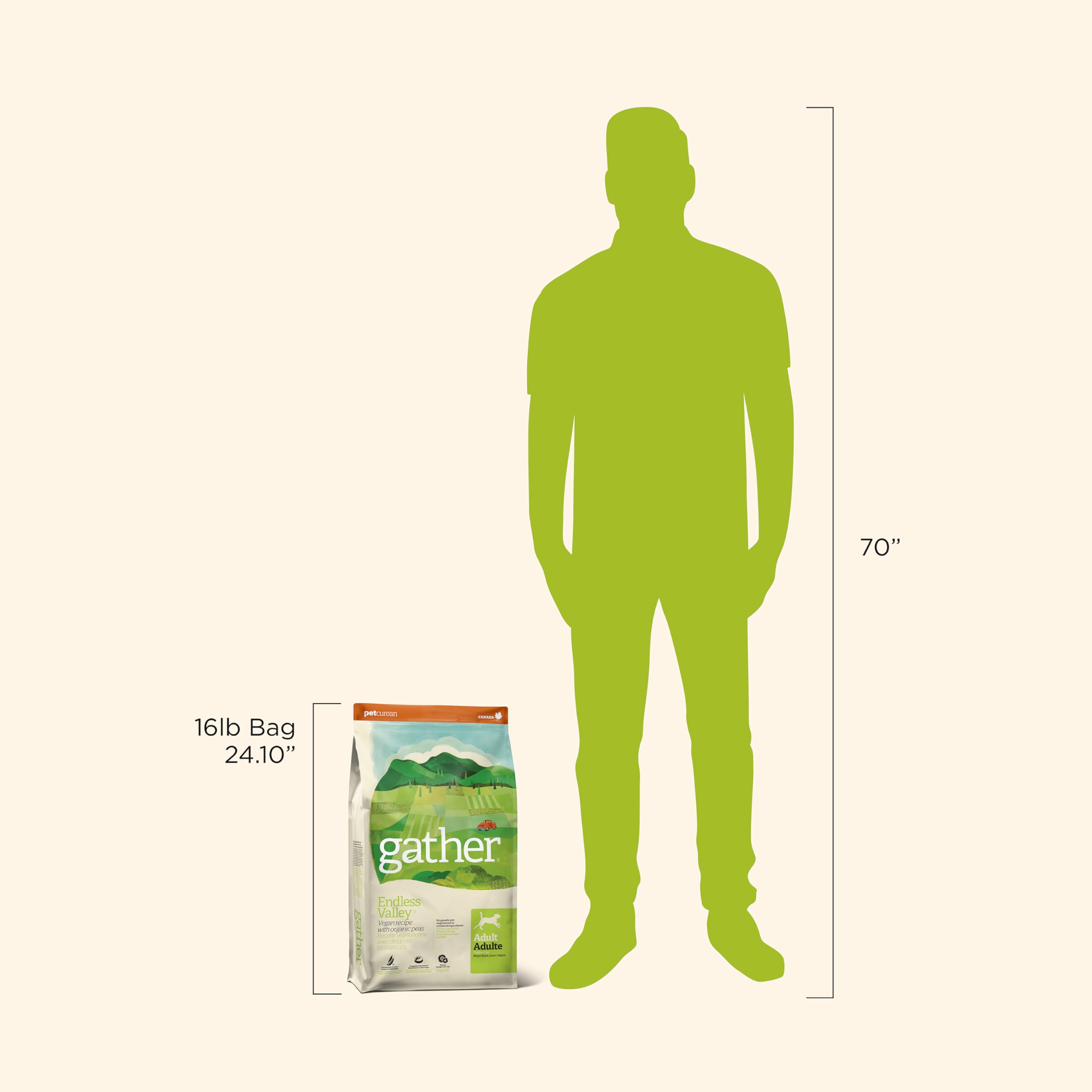 GATHER bol prêt à servir illustrant portionnement et facilité d'utilisation