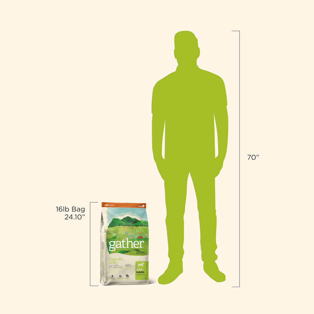 GATHER bol prêt à servir illustrant portionnement et facilité d'utilisation