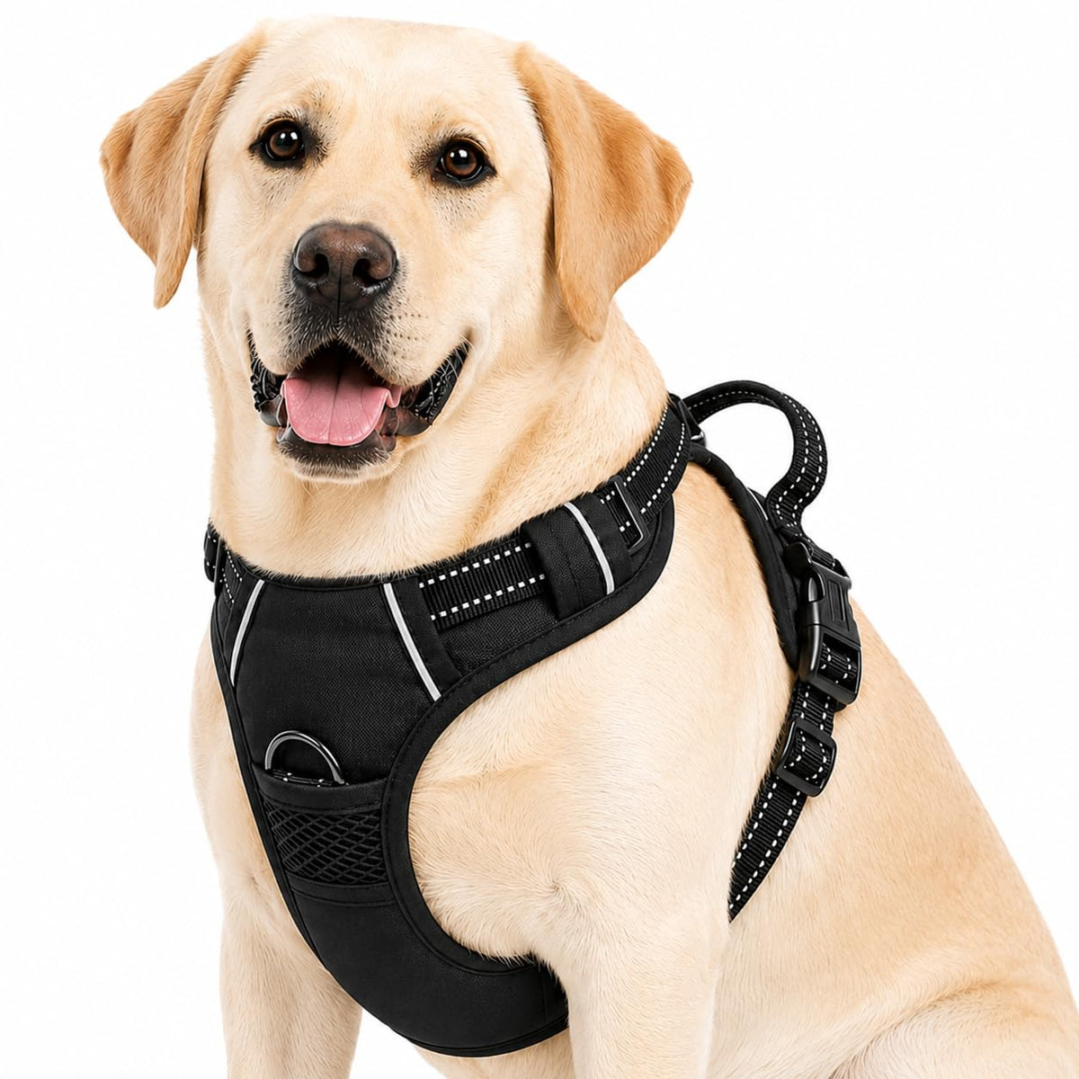 Gavpepy harnais vue avant montrant fixation et contrôle pour promenades plus sûres