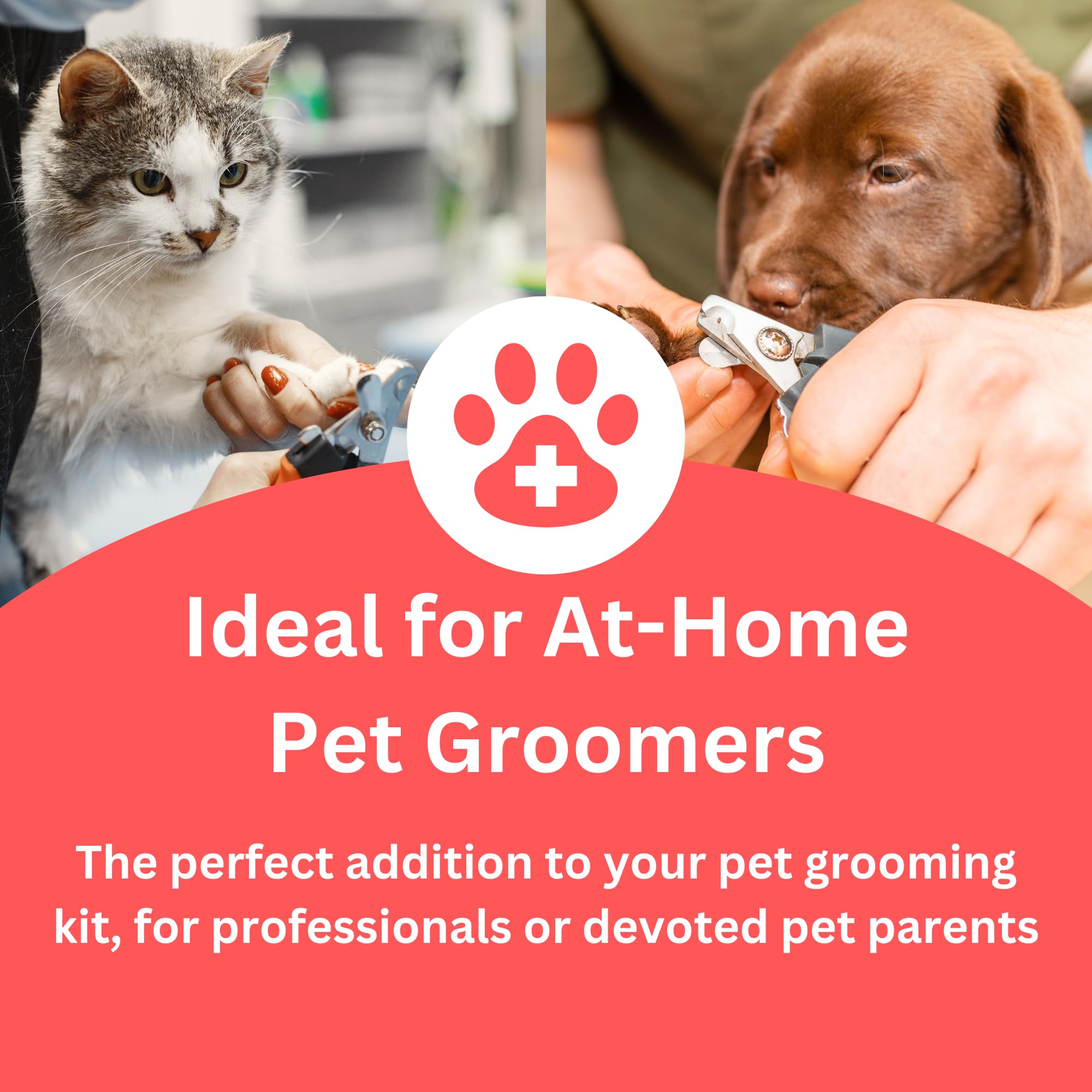 G.B.S utilisation sur petite coupure de chat pour protection locale immédiate