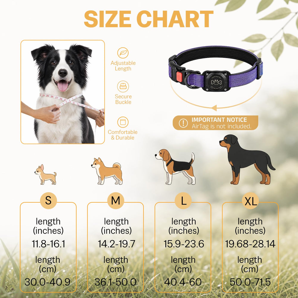 Geamen comparaison taille L sur chien illustrant ajustement et échelle