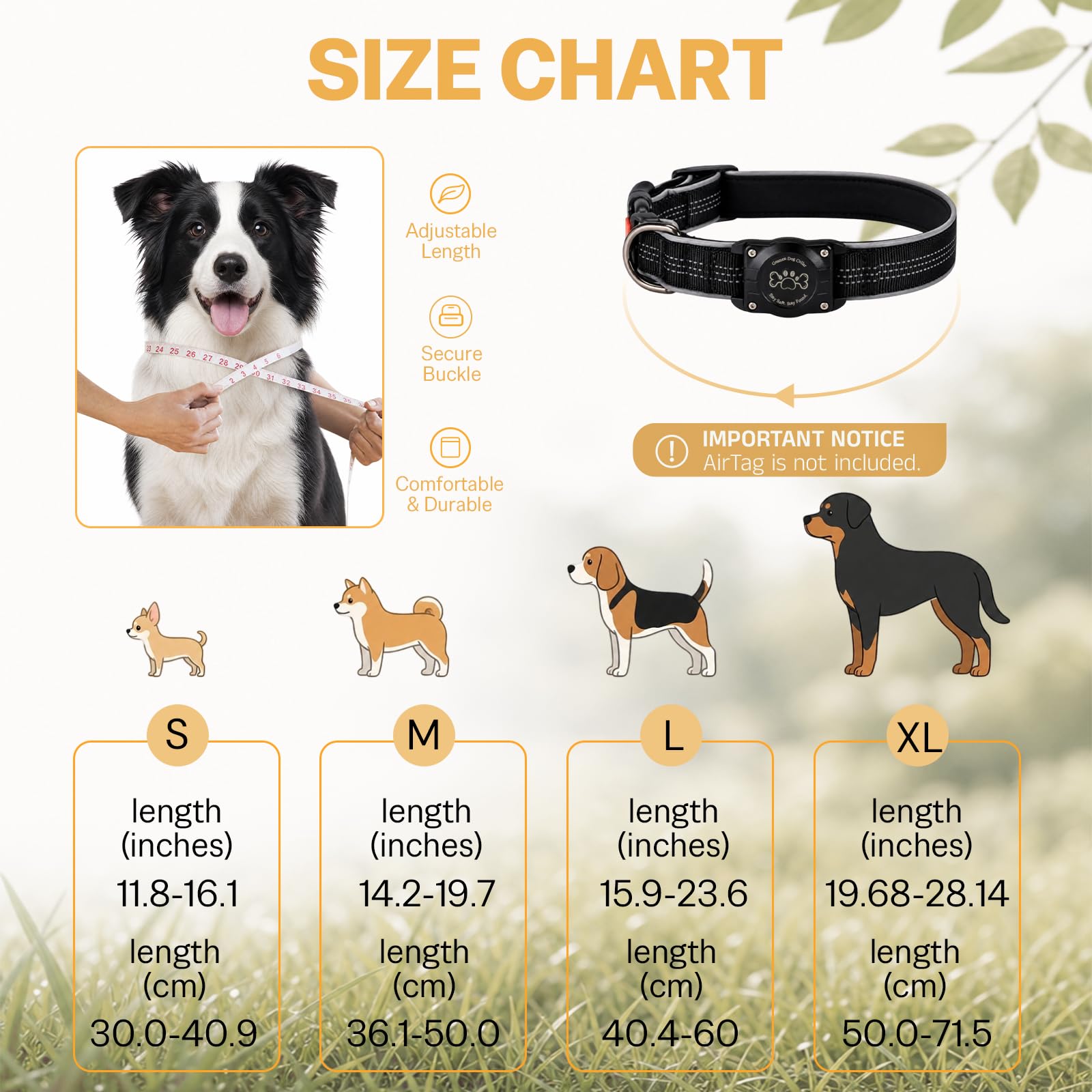 Geamen comparaison de taille sur chien illustrant ajustement confortable