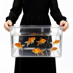 Geelin aquarium carré face avant montrant transparence et esthétique