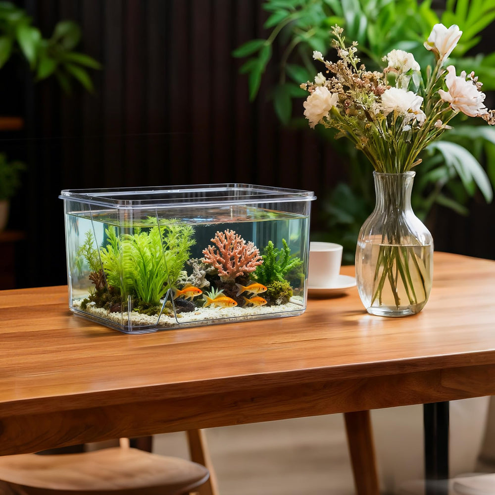 Geelin bocal en usage avec petits poissons et décor pour ambiance apaisante