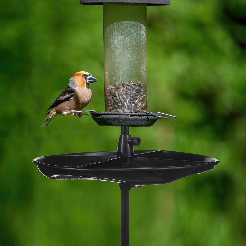 Geelin plateau installé dans jardin pour alimentation ordonnée des oiseaux