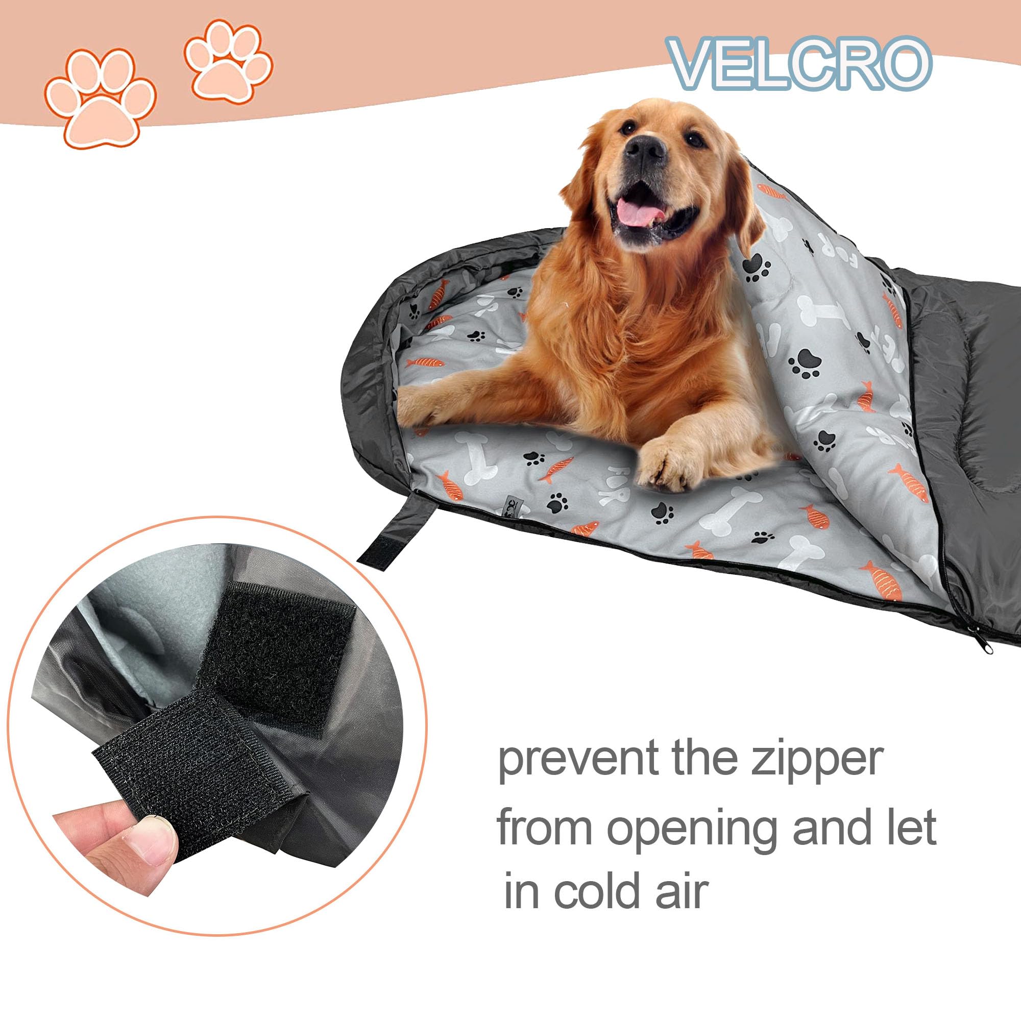 GeerDuo chien installé en camping offrant couchage chaud et sécurisé