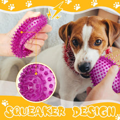 Gemscream balle tenue en main montrant l'échelle de taille pour chiens