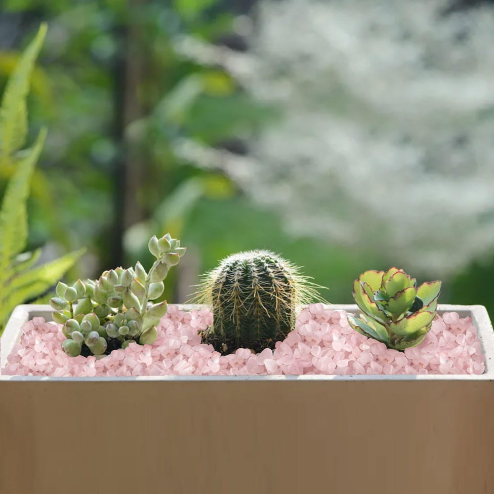 gemshan chips entourant bijoux, met en valeur colliers et bagues