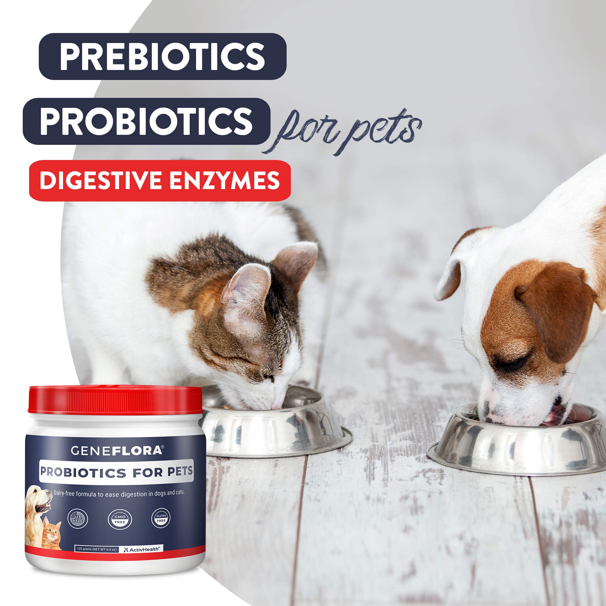 Geneflora chiot mangeant repas mélangé indiquant meilleure digestion