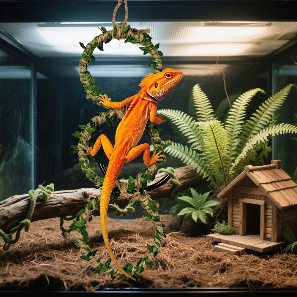Generic anneaux escalade gros plan bords polis protégeant écailles du reptile