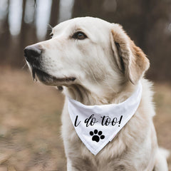 Generic chien portant bandana I Do Too lors d'une séance photo d'annonce