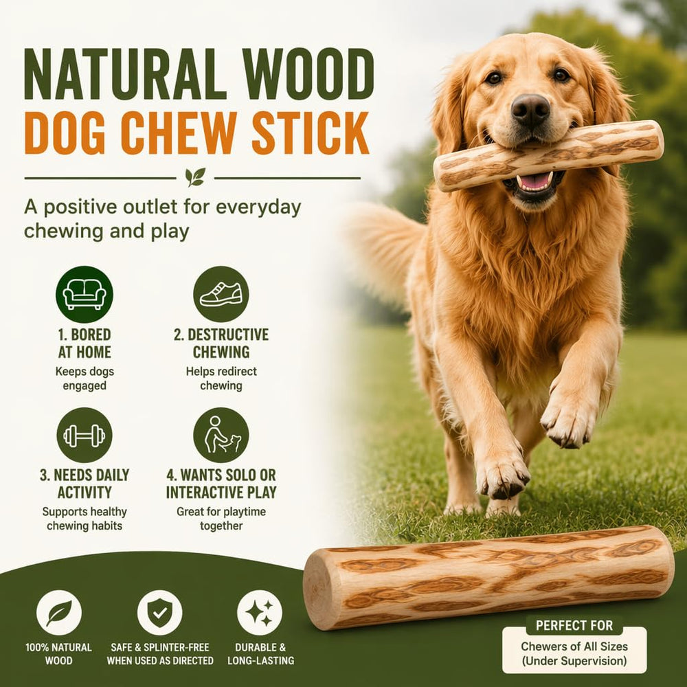 Generic bâton en main démontrant taille L pour grands chiens