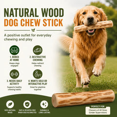 Generic bâton en main démontrant taille L pour grands chiens