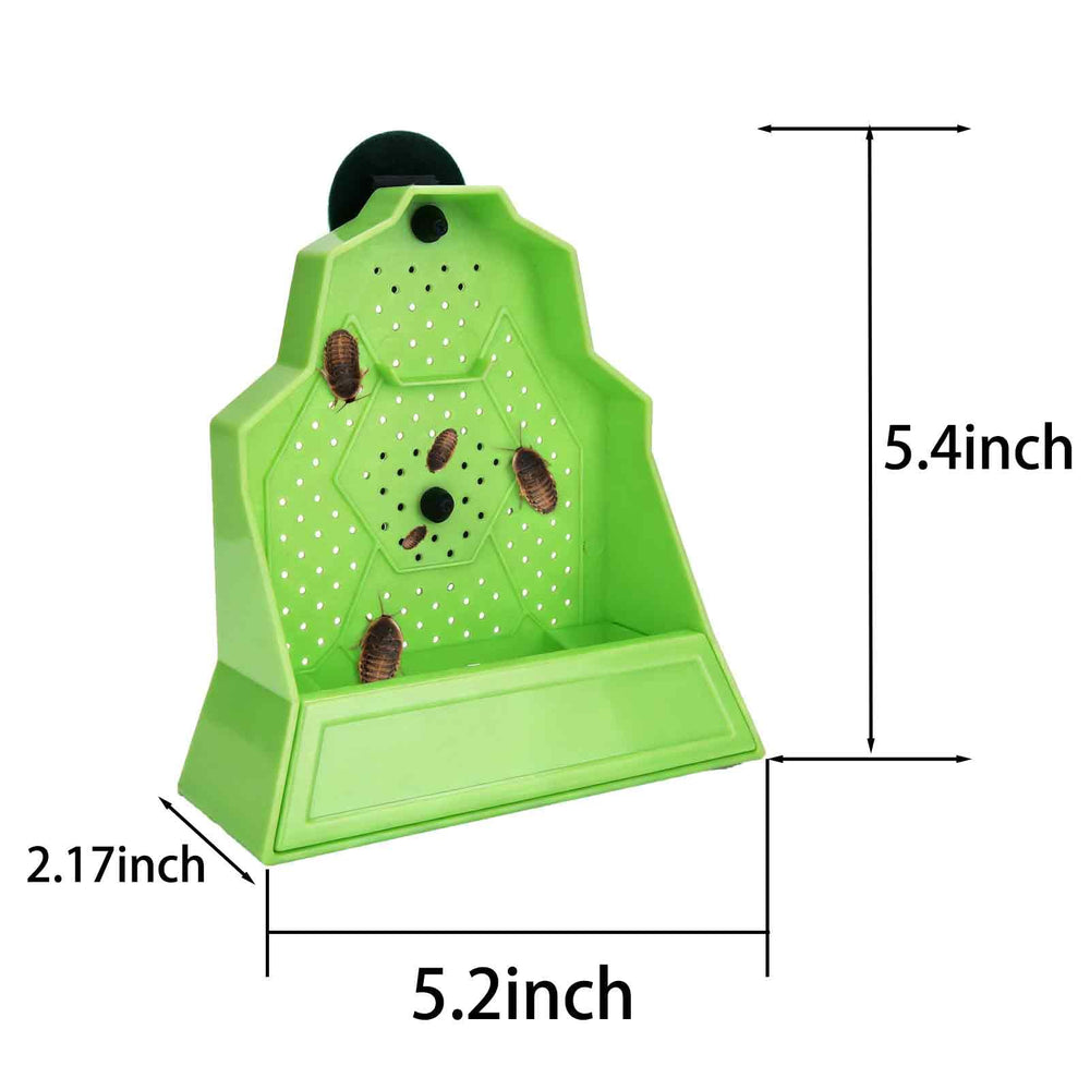 Generic comparaison taille montrant échelle pour juvéniles et petits reptiles