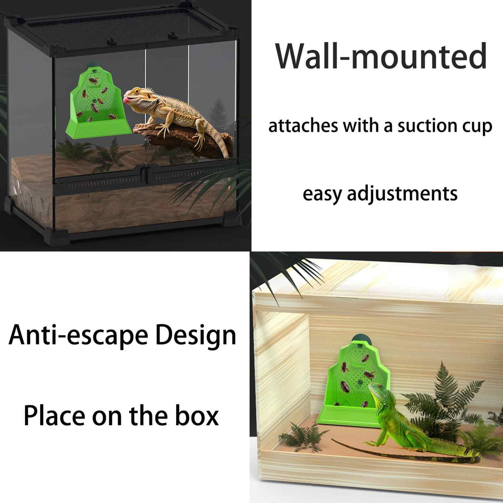Generic bol dans terrarium avec reptile encourage activité et chasse