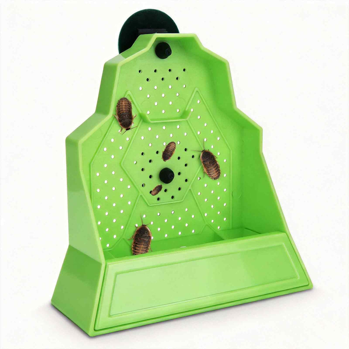 Generic bol d'angle vue face montrant fixation et design, praticité