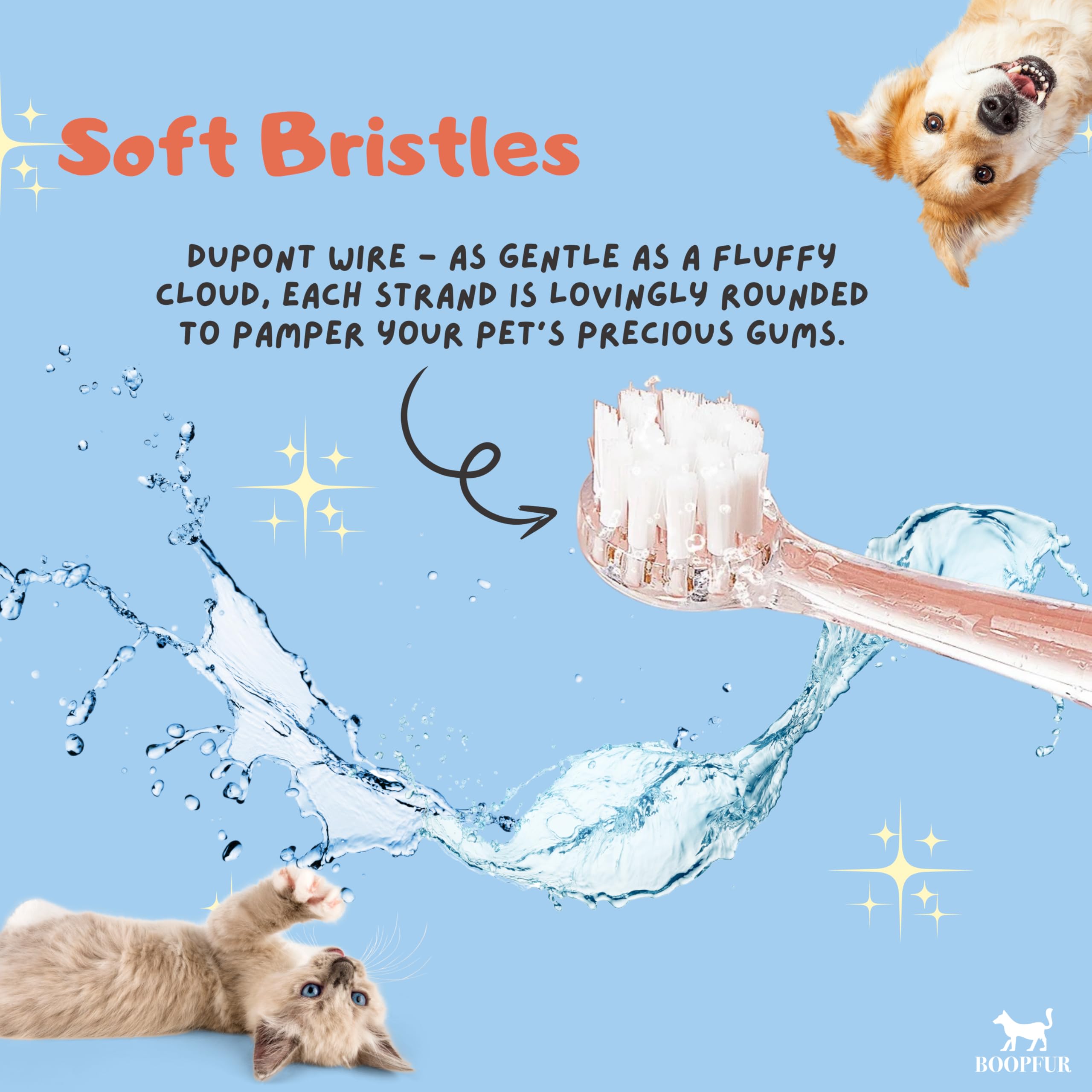 Generic brosse en usage sur chien facilitant nettoyage sans stress