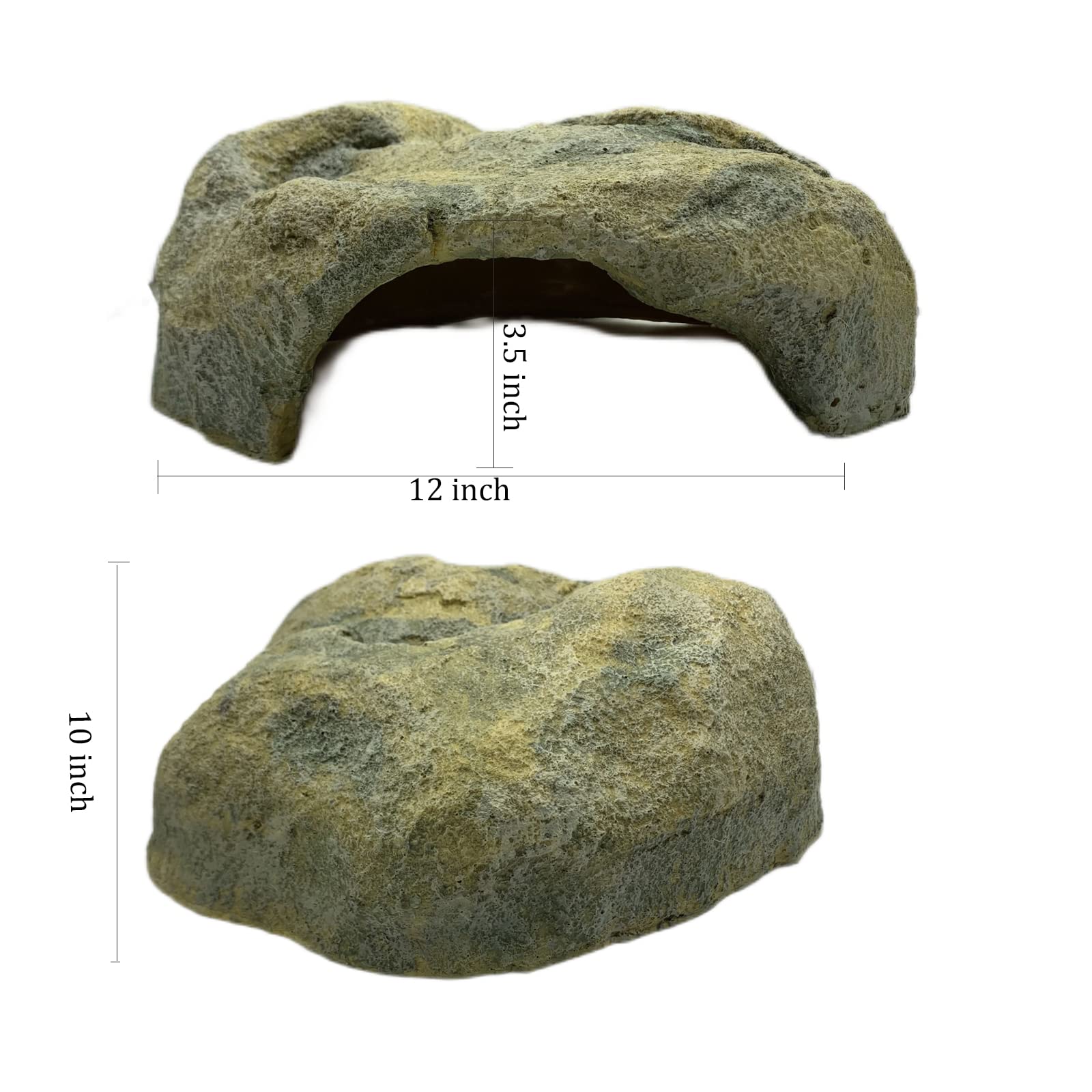 Generic comparaison d'échelle, cachette 12x10 pouces adaptée aux reptiles adultes