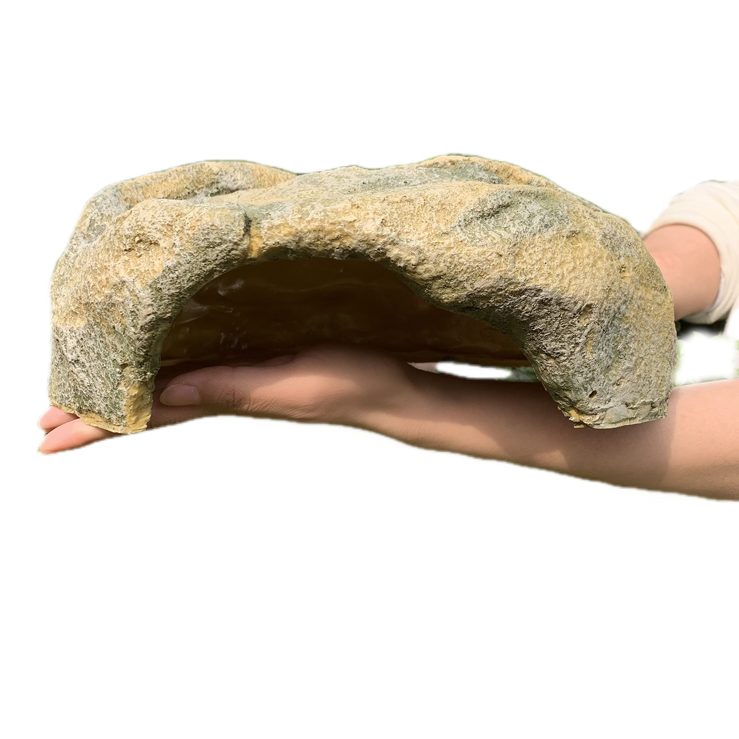 Generic cachette résine face avant montrant abri réaliste et robuste pour reptile