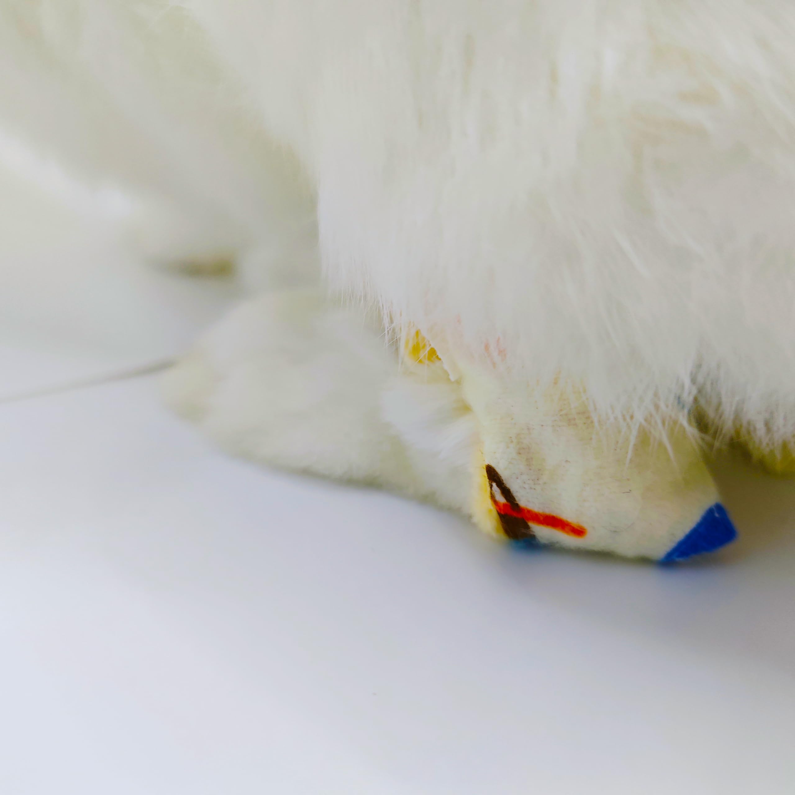 Generic chaussette lapin comparaison taille montrant ajustement pour Mini Rex