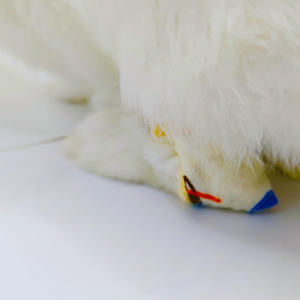 Generic chaussette lapin comparaison taille montrant ajustement pour Mini Rex