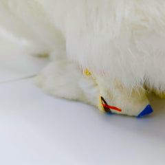 Generic chaussette lapin comparaison taille montrant ajustement pour Mini Rex