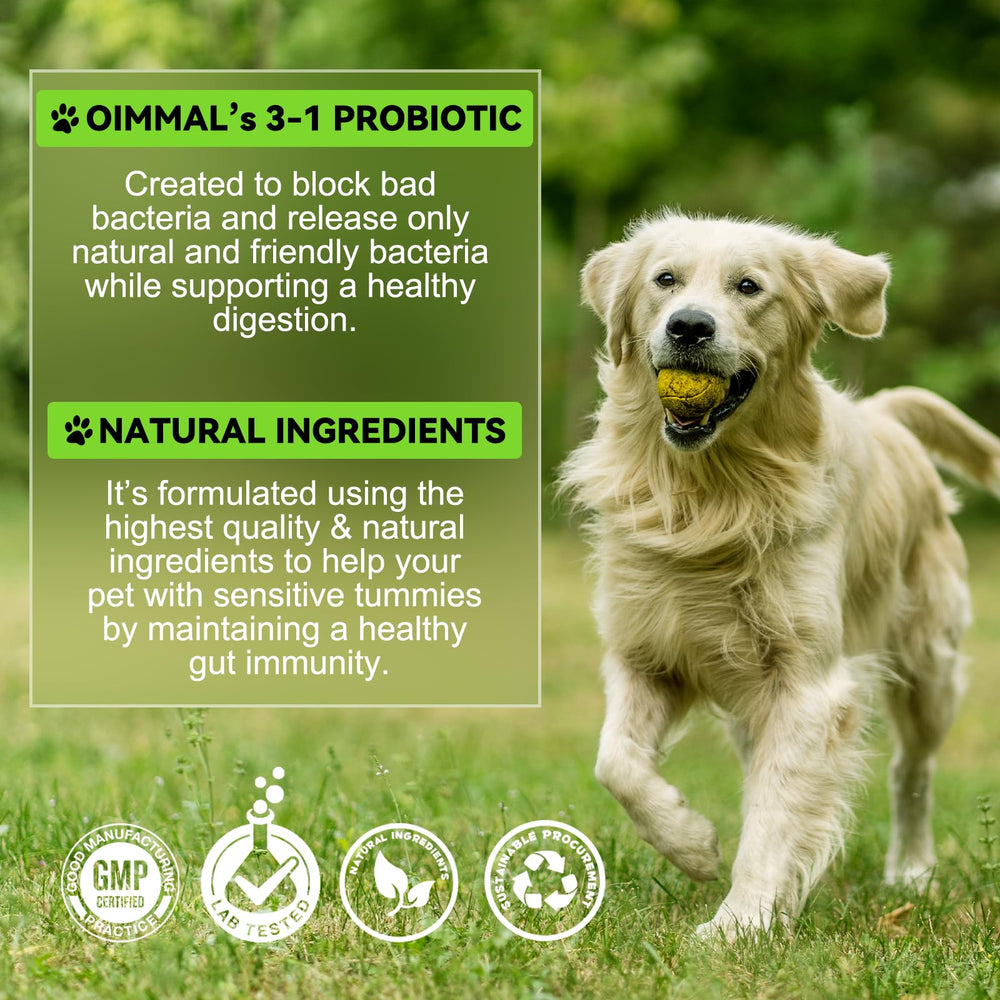 Generic chien buvant eau enrichie de gouttes montrant confort digestif et hydratation