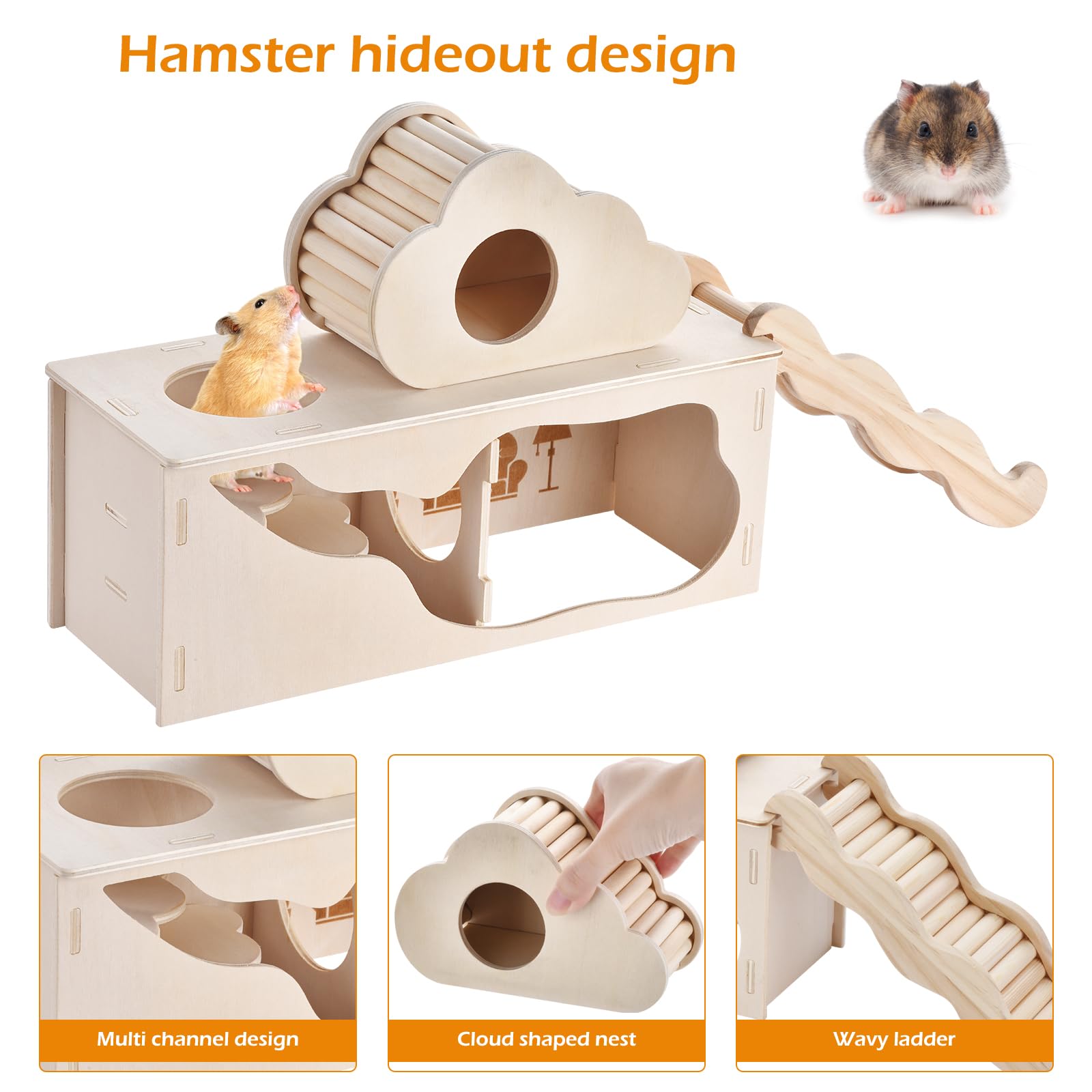 Generic comparaison de taille avec une main, montre dimensions adaptées aux hamsters