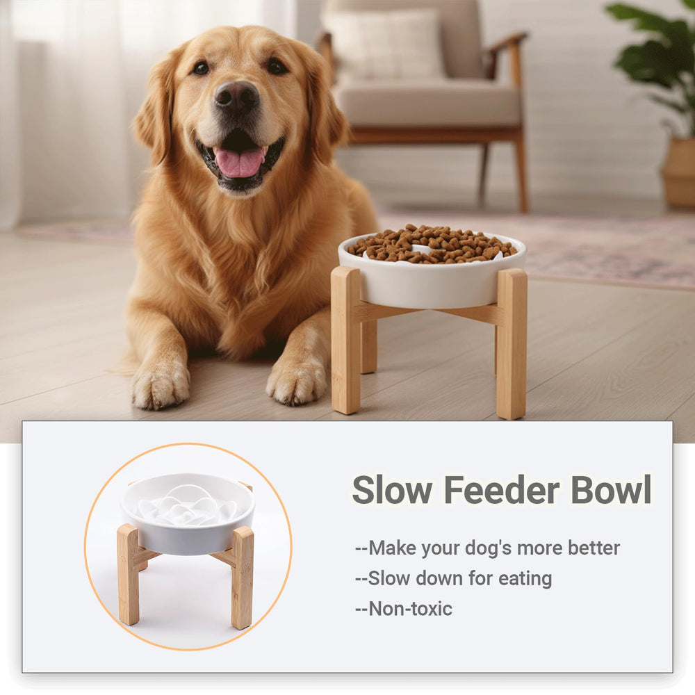 Generic comparaison taille montrant diamètre 22 cm adapté chiens moyens/grands