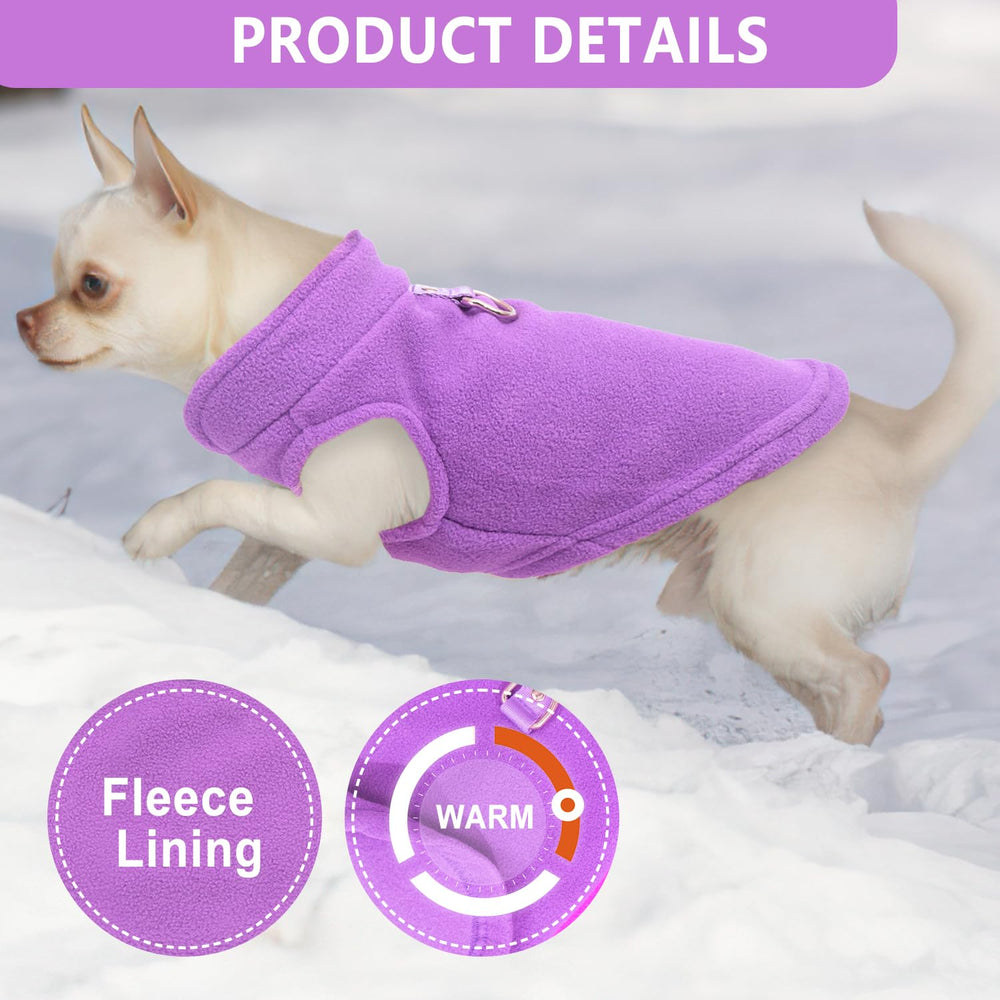 Generic comparaison taille sur petit chien pour choix adapté