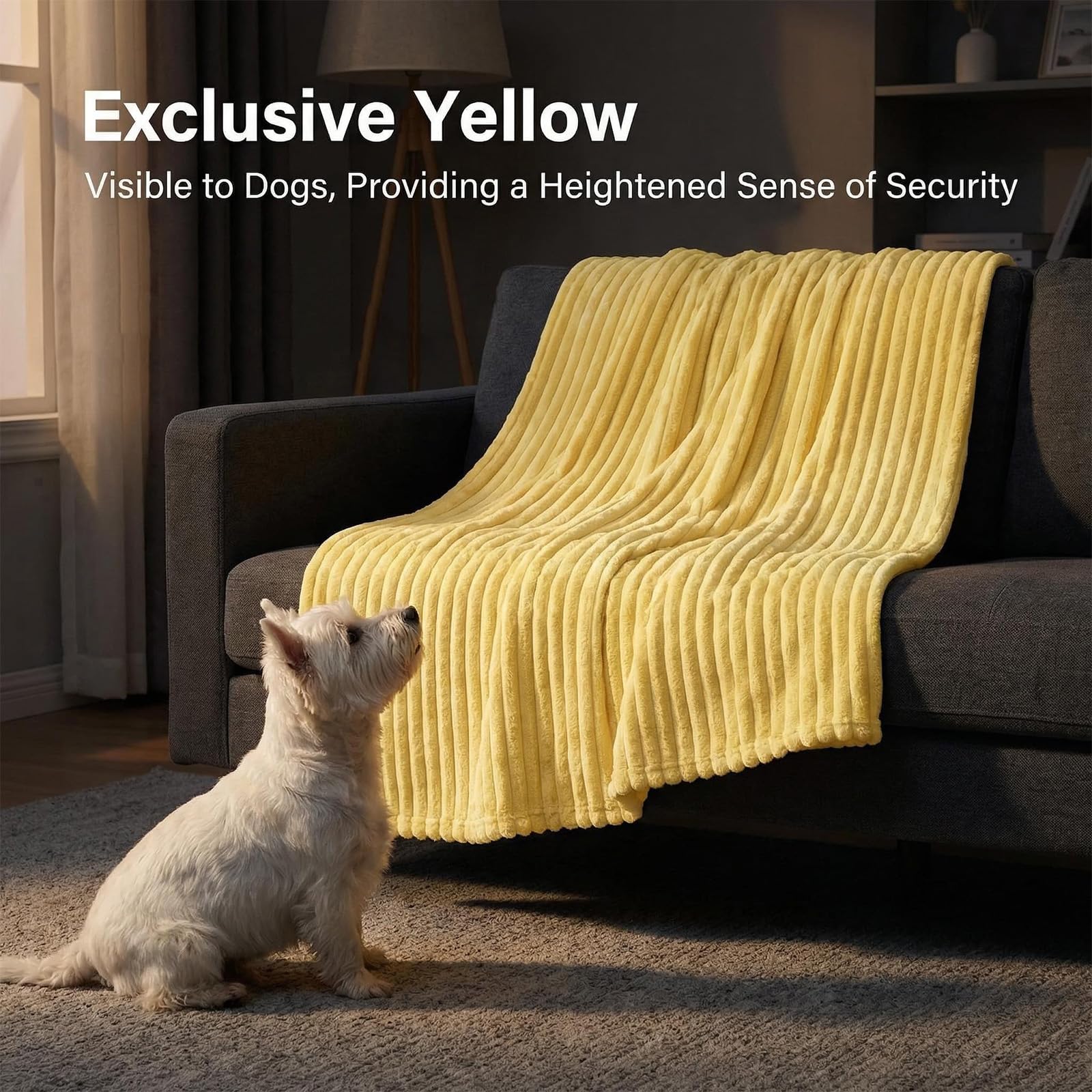 Generic scène extérieure chien blotti sur couverture portable