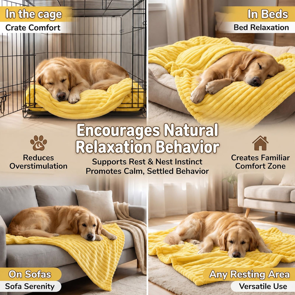 Generic chien posant patte et museau sur couverture apaisante