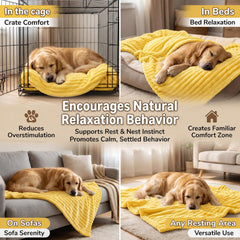 Generic chien posant patte et museau sur couverture apaisante