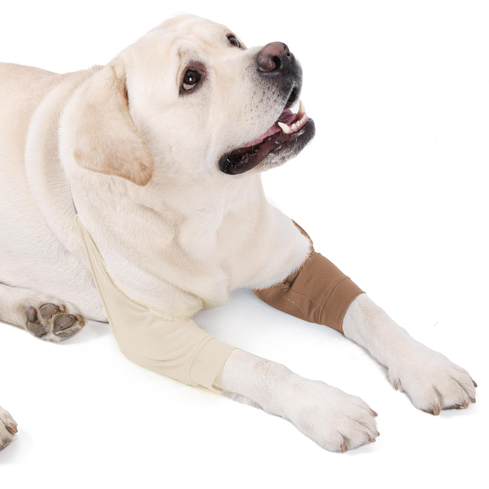 Generic Dog Elbow Protector comparatif taille XL, adapté aux chiens moyens à grands