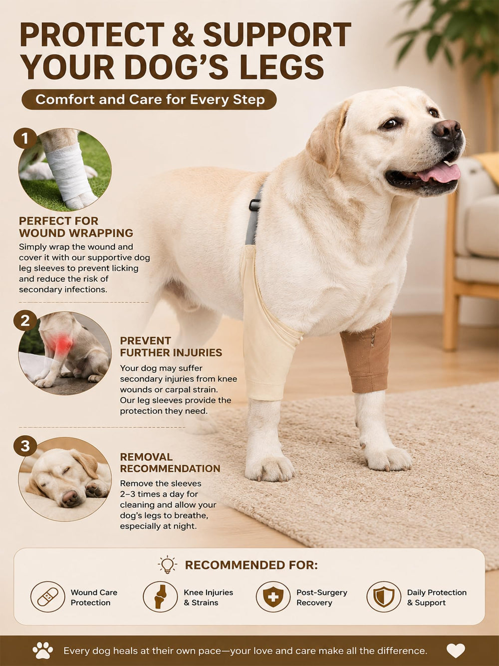 Generic Dog Elbow Protector usage quotidien, lavable en machine pour une hygiène simple
