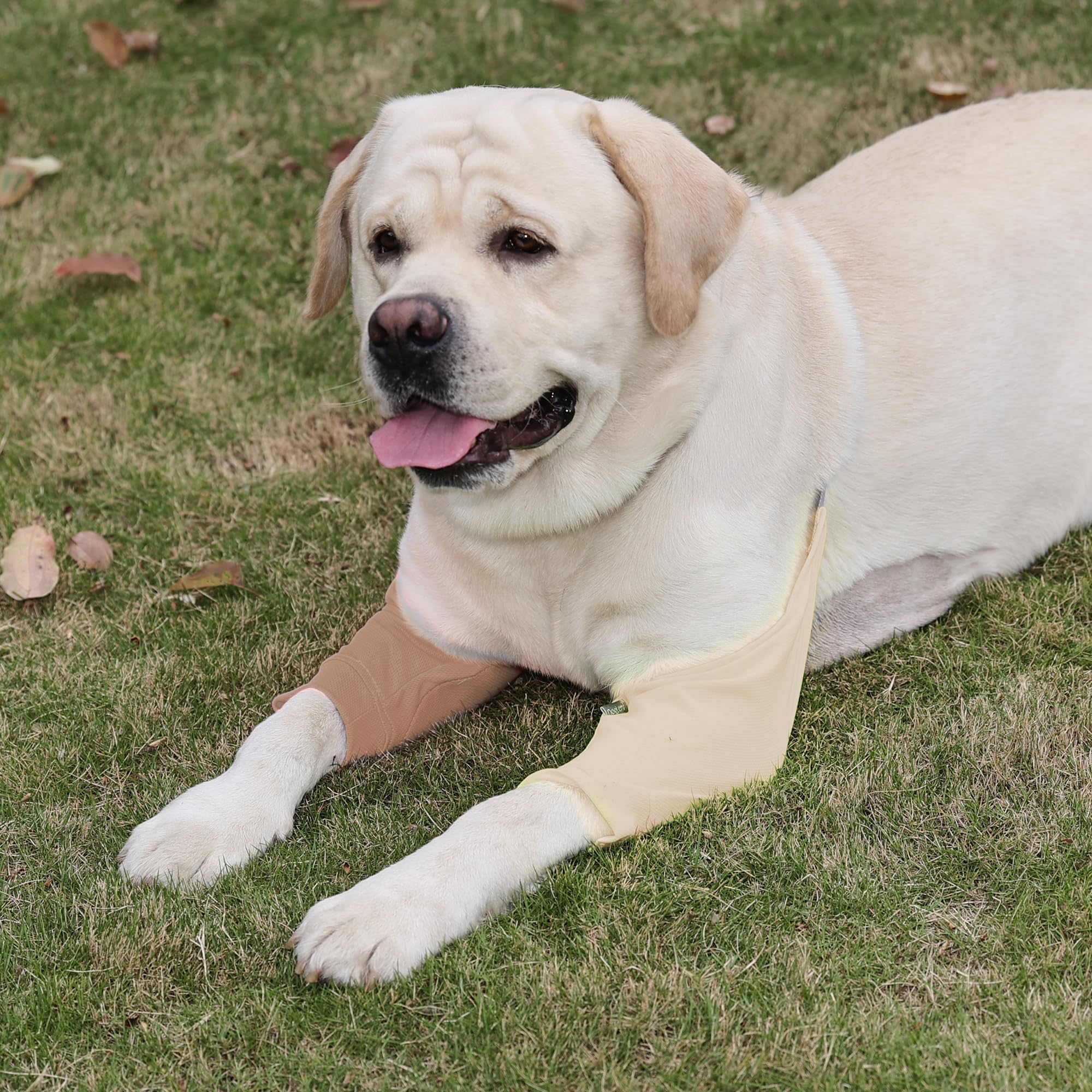 Generic Dog Elbow Protector vue intérieure coussinet, protection douce pour la plaie