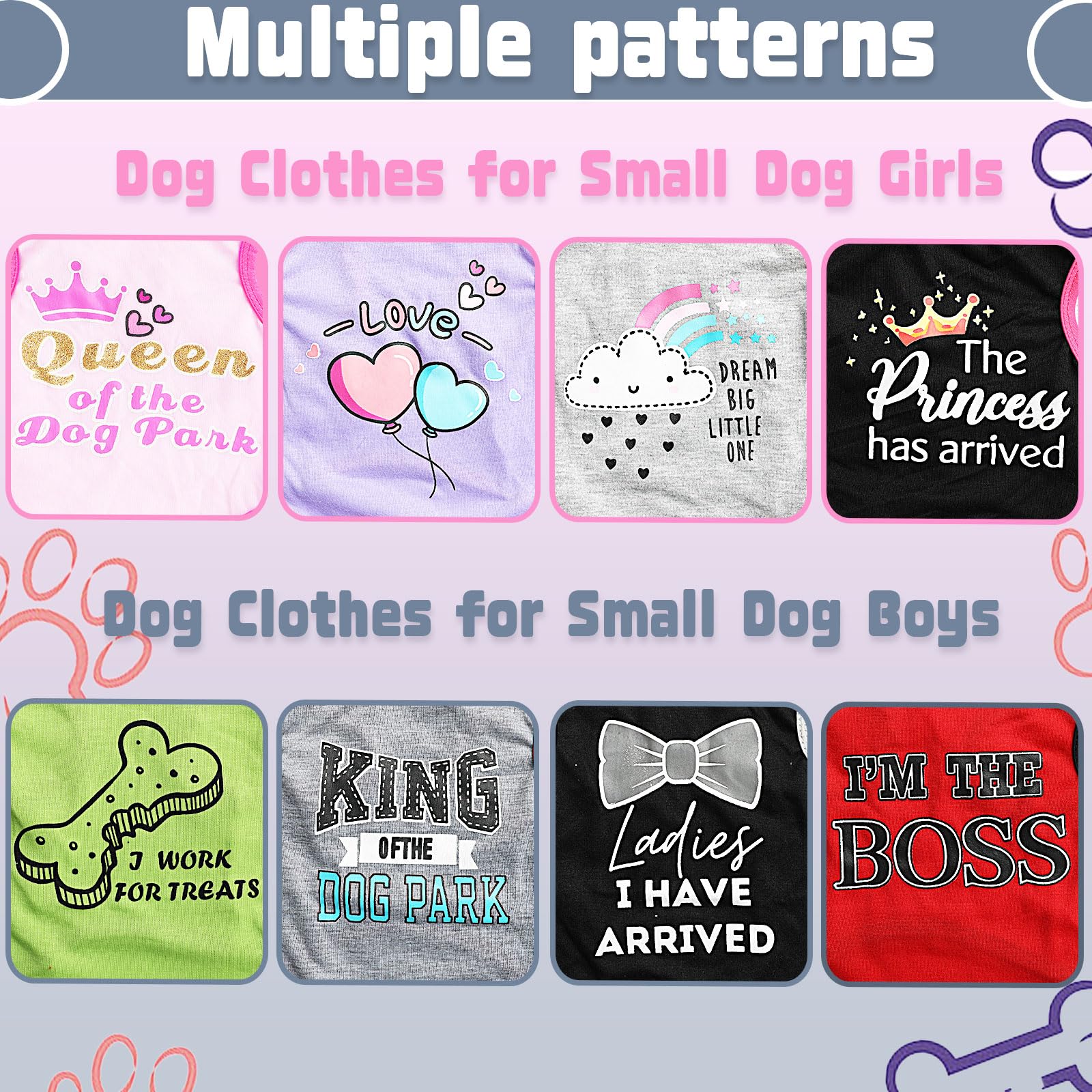 Generic chien en promenade portant tenue confortable et stylée