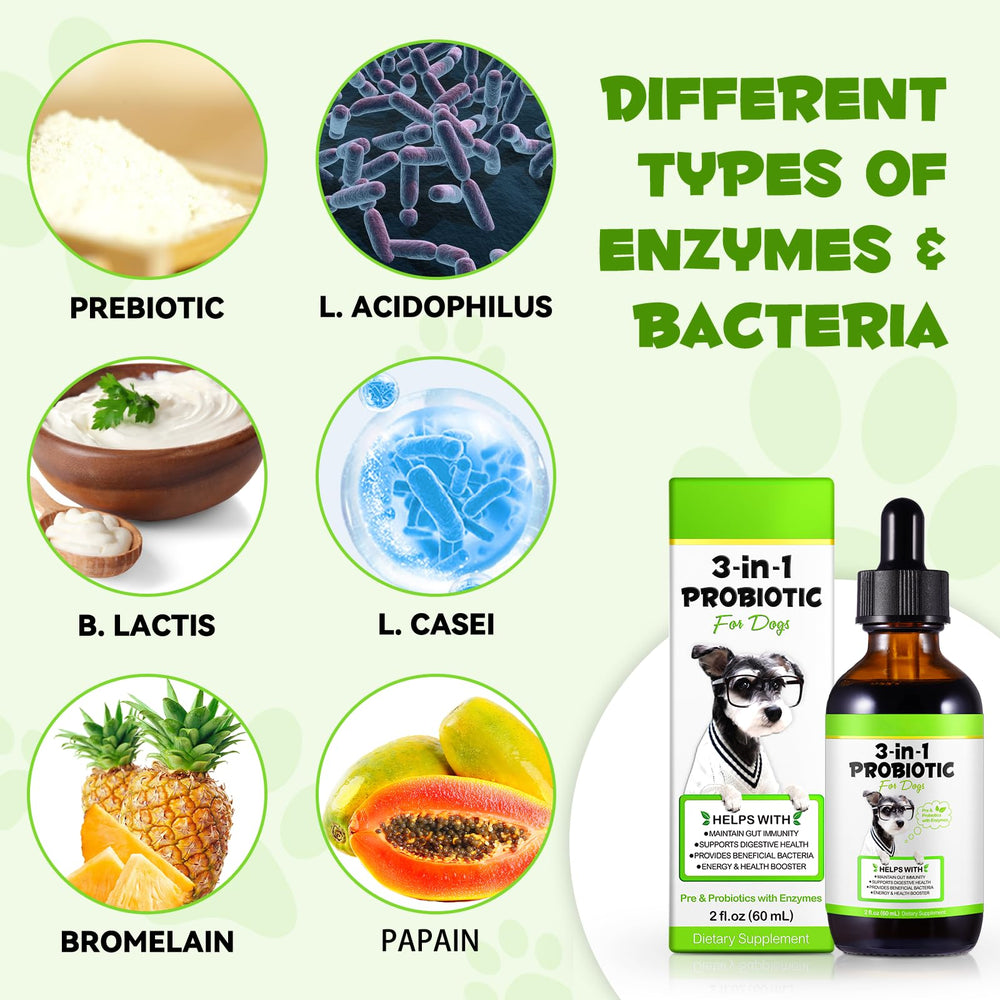 Generic gros plan des ingrédients illustrant la présence d'enzymes pour meilleure digestion