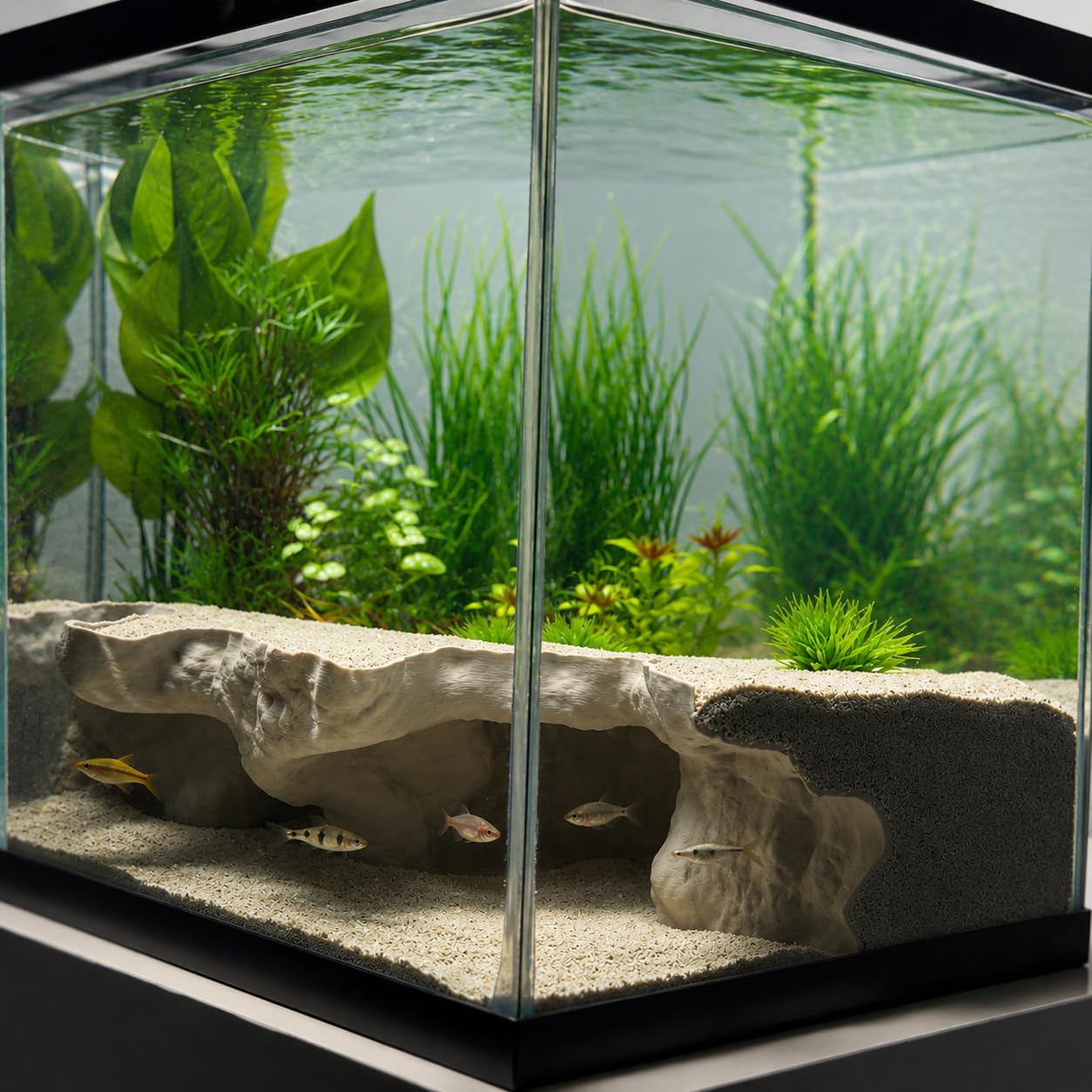 Generic grotte gros plan texture pierre retient le sable pour apparence naturelle
