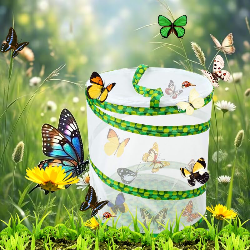 Generic papillon éclos à l'intérieur illustrant sortie réussie