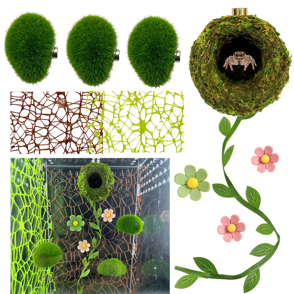 Generic kit 9 pièces affiché complet pour aménager terrarium et enrichir habitat