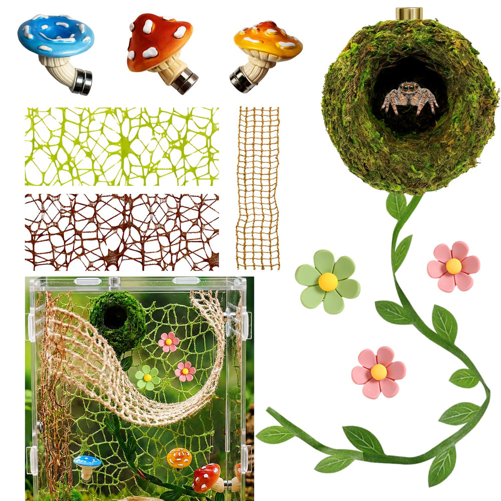 Generic kit vue d'ensemble montrant assortiment et bénéfice esthétique