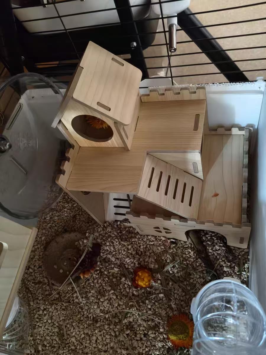 Generic maison hamster dans cage intégration esthétique et fonctionnelle