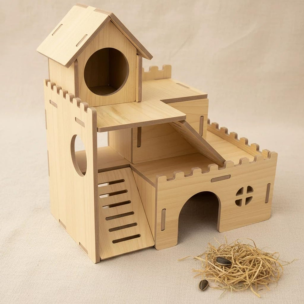 Generic maison hamster échelle en utilisation favorisant exercice quotidien